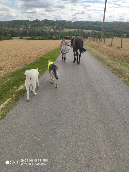 Photo de profil de wendyclement