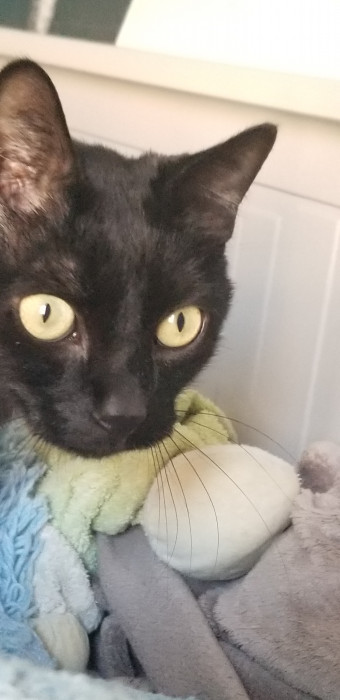 Photo de profil de white_huntress