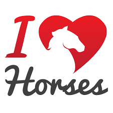 Photo de profil de whyilovehorses