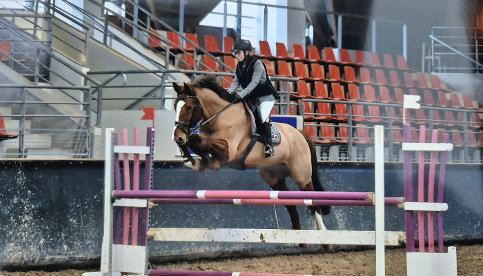 Photo de profil de wiggy