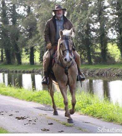 Photo de profil de willywest