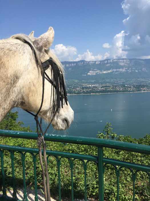 Photo de profil de windy44