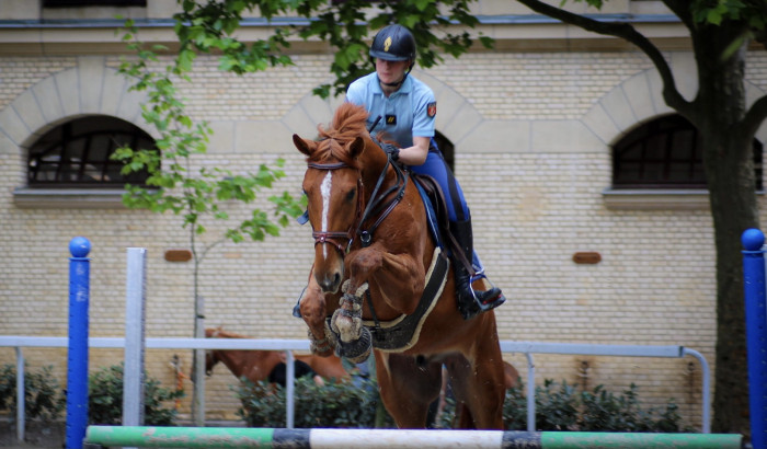 Photo de profil de xcaandyce