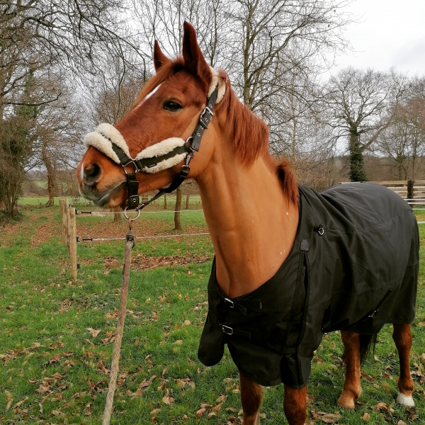 Photo de profil de xehhop