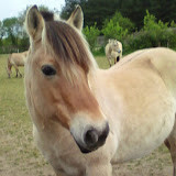 Photo de profil de xxx_xxx