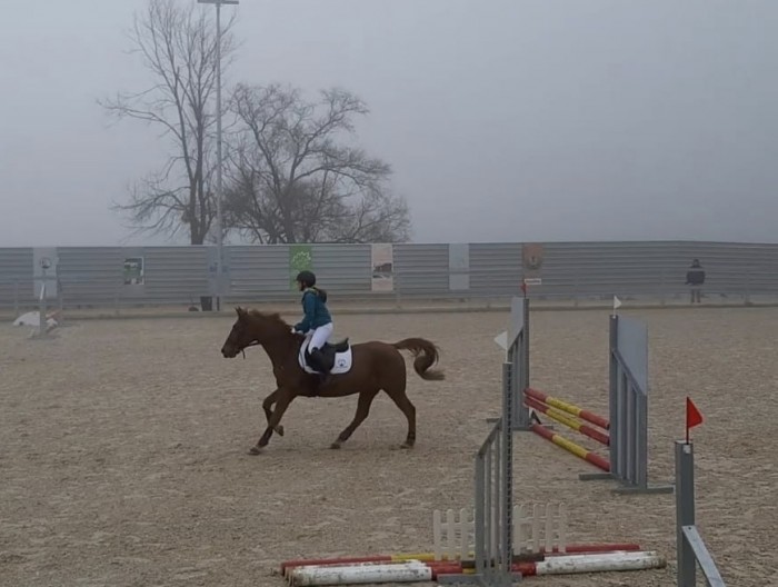 Photo de profil de yang.barrera