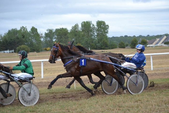 Photo de profil de yannick53