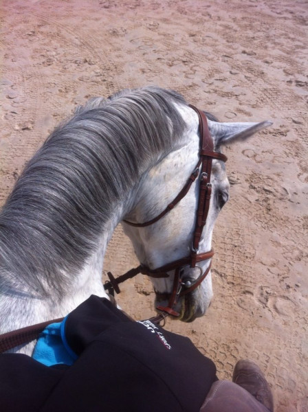 Photo de profil de yasoul69