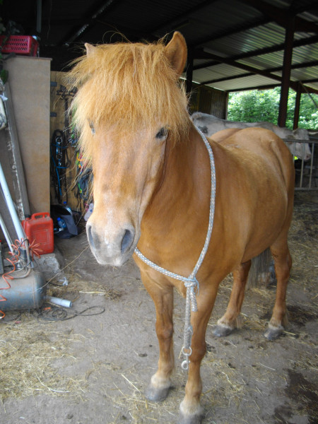 Photo de profil de ymir