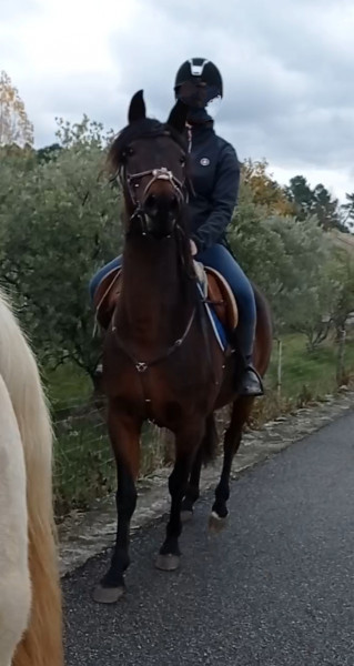 Photo de profil de ynka