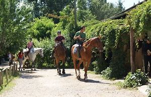 Photo de profil de ynnou