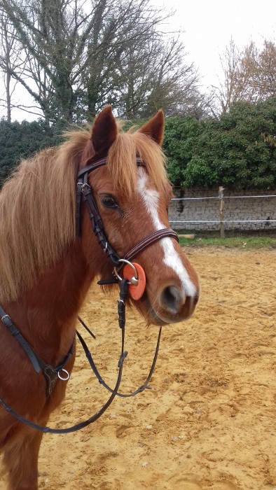 Photo de profil de youtu