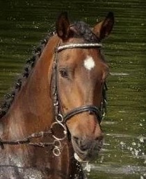 Photo de profil de ytak