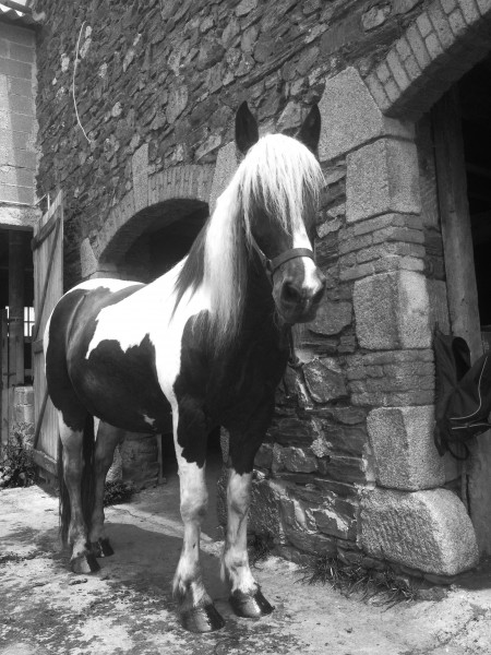 Photo de profil de yw46
