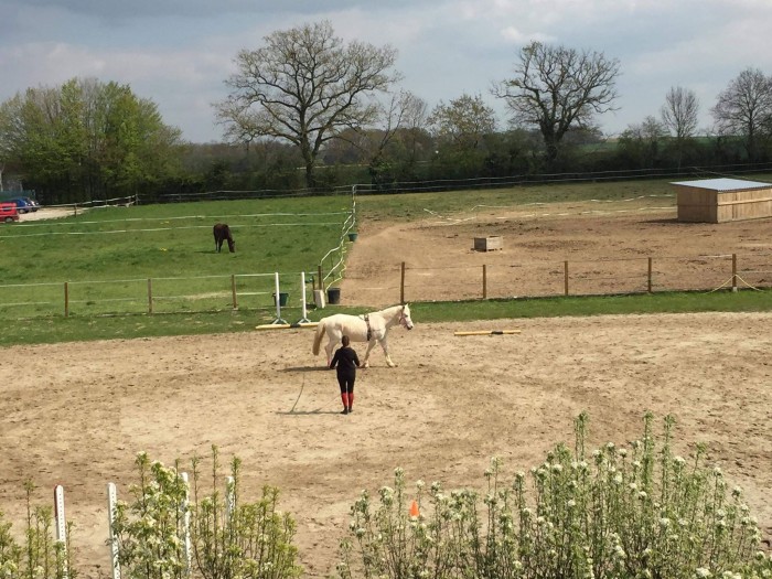 Photo de profil de zagzy