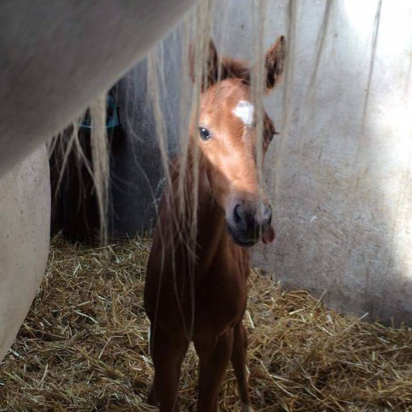 Photo de profil de zanz