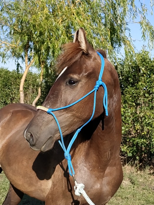 Photo de profil de zaz26687