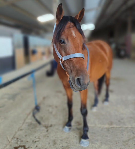 Photo de profil de zazou_679