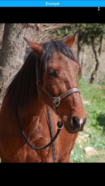 Photo de profil de zazoups