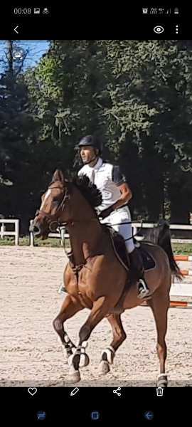 Photo de profil de zemmouri84