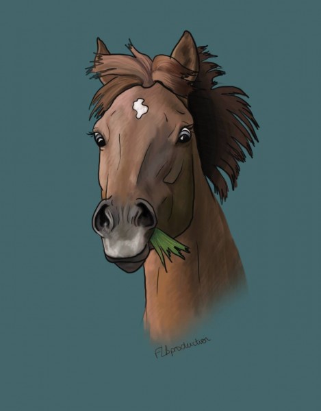 Photo de profil de zervos95