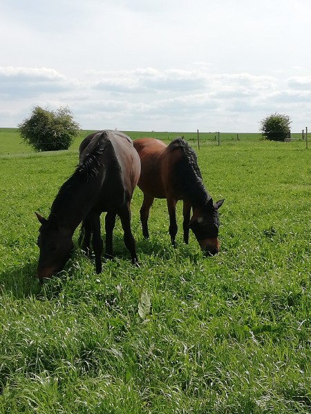 Photo de profil de zikizouk