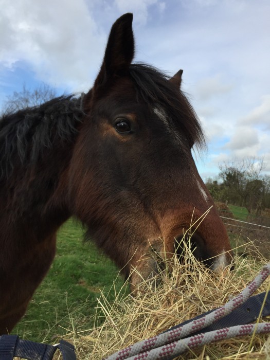 Photo de profil de zoe_chartier