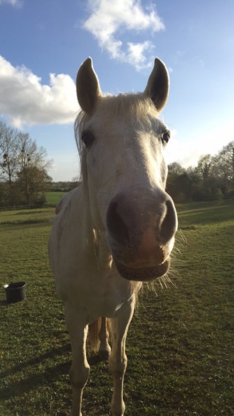 Photo de profil de zoe.v