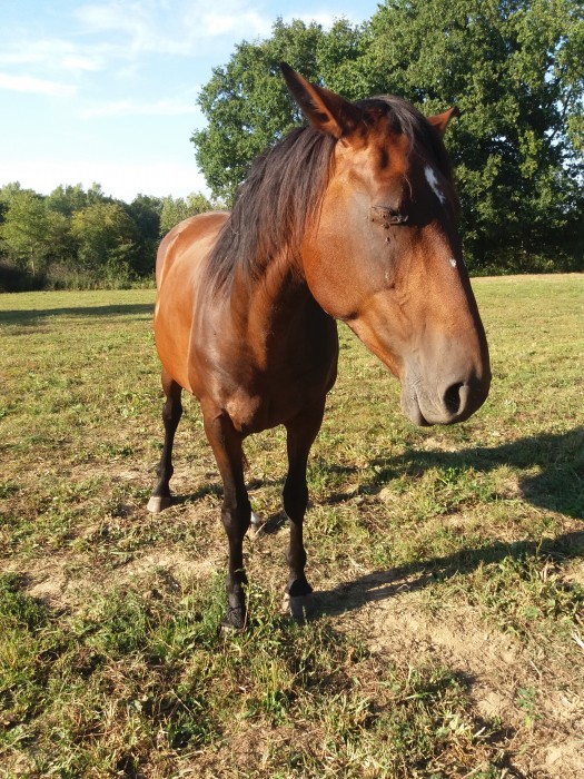 Photo de profil de zombitalleuse