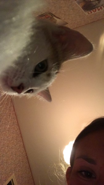 Photo de profil de zooe21