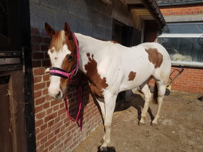 Photo de profil de zorro1