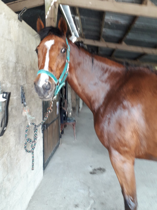 Photo de profil de zouzouline