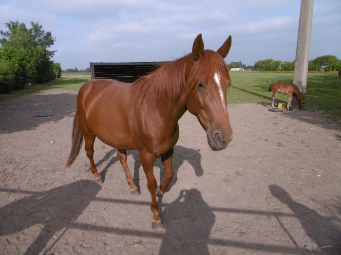 Photo de profil de zumbateuse