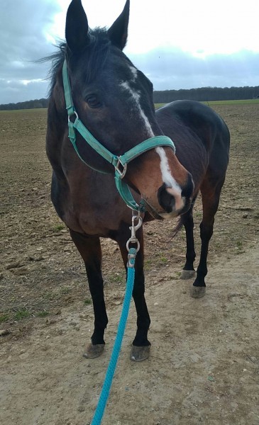 Photo de profil de zuny