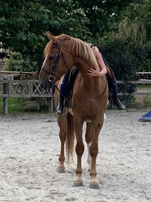 Photo de profil de zuuesk