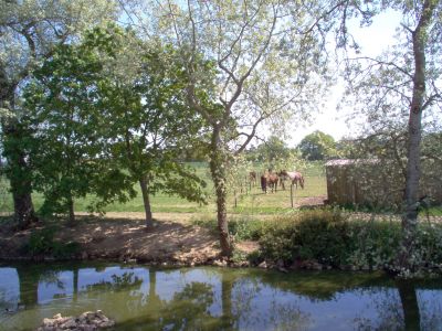 Pension de propritaires