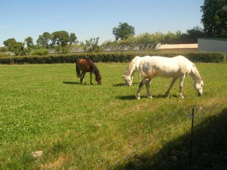Pension de propritaires
