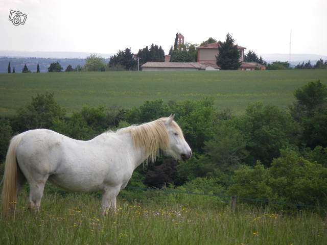 Ferme questre