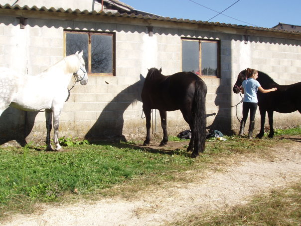 Pension de propritaires