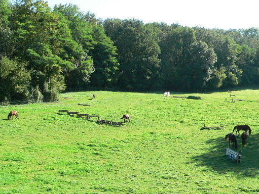 Centre questre