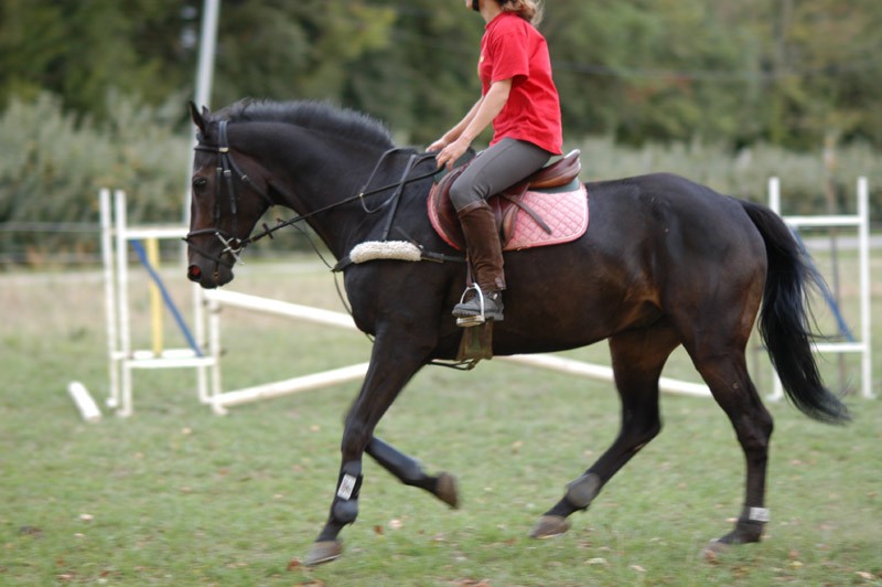 Photo de profil de abereznay