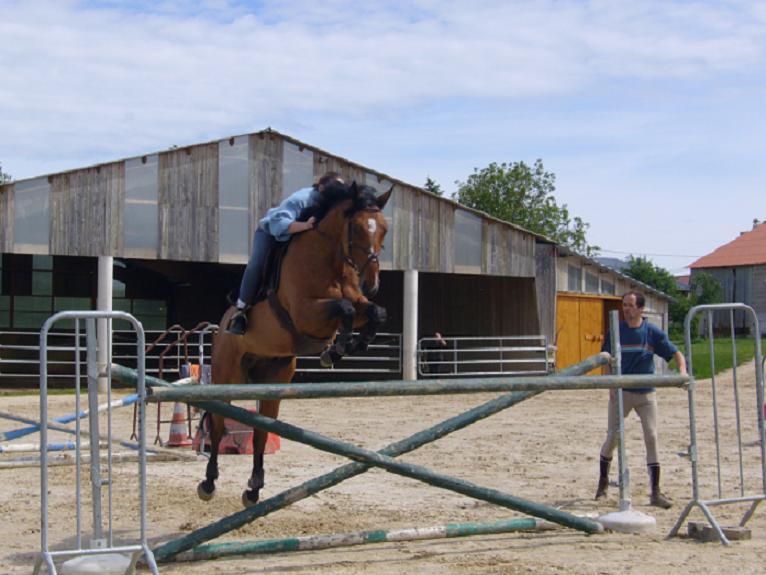 Photo de profil de adzo01