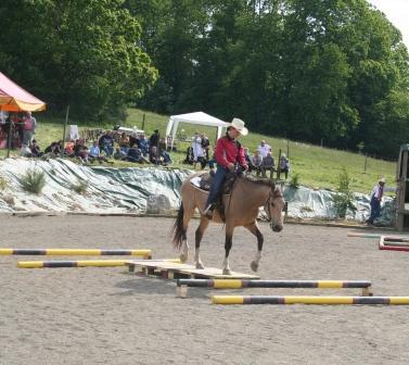 Photo de profil de agathecheval