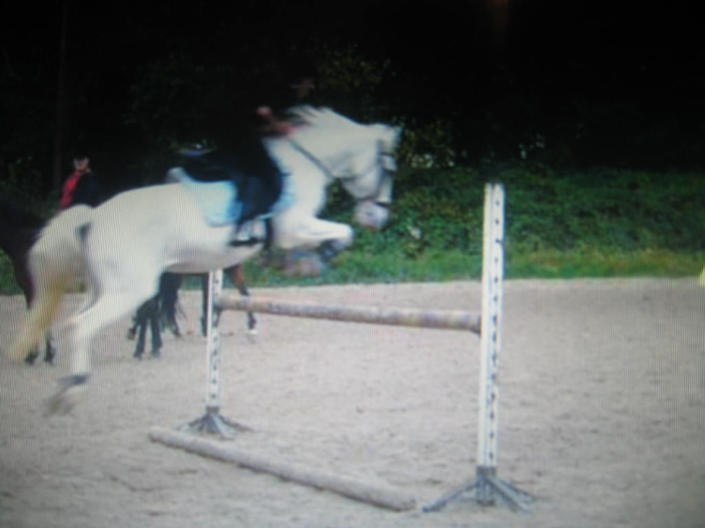 Photo de profil de aleks