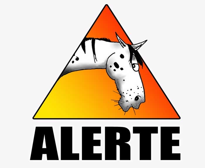 Photo de profil de alerte