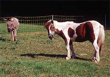 Photo de profil de alexandra1303