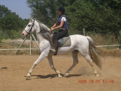 Photo de profil de amel