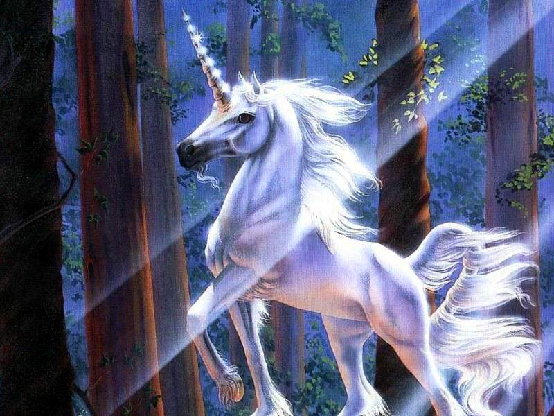 Photo de profil de blackbeauty