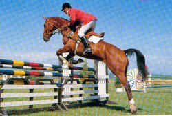 Photo de profil de blanche19