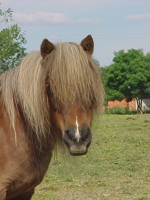 Photo de profil de bounce13